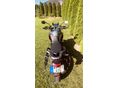 TRIUMPH TIGER SPORT 850 2023/5 - 7