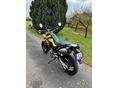 HONDA FMX 650 2007/7 - 4