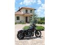 HARLEY-DAVIDSON SPORTSTER 1200 IRON 2021/3 - 3