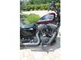 HARLEY-DAVIDSON SPORTSTER 1200 IRON 2021/3 - 4