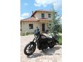HARLEY-DAVIDSON SPORTSTER 1200 IRON 2021/3 - 8