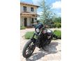 HARLEY-DAVIDSON SPORTSTER 1200 IRON 2021/3 - 9