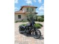 HARLEY-DAVIDSON SPORTSTER 1200 IRON 2021/3 - 11