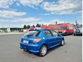 PEUGEOT 206 2006/7 - 4