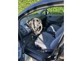 HONDA JAZZ 2005/6 - 4