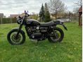 TRIUMPH SCRAMBLER street scrambler
