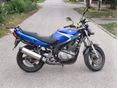 SUZUKI GS 500 E 2005/7 - 3
