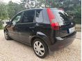 FORD FIESTA 2005/6 - 3