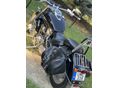 SUZUKI VL 800 (INTRUDER) 2008/3 - 2