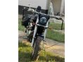 SUZUKI VL 800 (INTRUDER) 2008/3 - 4