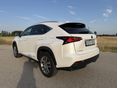 LEXUS NX 2017/9 - 2