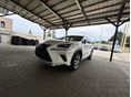 LEXUS NX 2020/11 - 2
