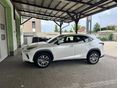 LEXUS NX 2020/11 - 4