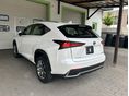 LEXUS NX 2020/11 - 5