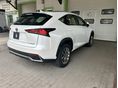 LEXUS NX 2020/11 - 6