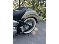 YAMAHA XVS 1100 DRAG STAR 2002/7 - 6