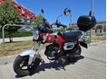 HONDA ST 125 DAX 2023/6 - 2