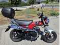 HONDA ST 125 DAX 2023/6 - 4