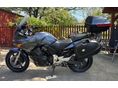 HONDA CBF 600 Cbf 600 S