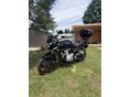 SUZUKI GSF 1250 S (BANDIT) 2008/4 - 2