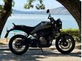 HUSQVARNA SVARTPILEN 401 2025/12 - 5