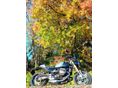 BMW R 12 2024/2 - 2