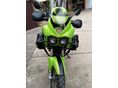 TRIUMPH TIGER 955I 2002/10 - 6