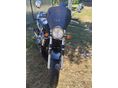HONDA CB 900 F (HORNET) 2004/11 - 3