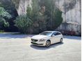 VOLVO V60 2013/11 - 2