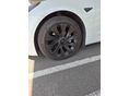 TESLA MODEL 3 2021/6 - 9