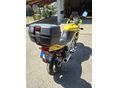 YAMAHA TDM 850 1995/6 - 9