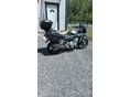 SUZUKI GSF 650 S 
