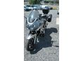 SUZUKI GSF 650 S 2008/12 - 3