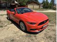 FORD MUSTANG 2016/10 - 2