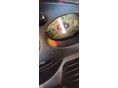 HONDA SILVER WING 600 2002/9 - 8
