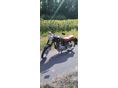 PANNONIA P5 1968/6 - 2