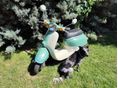 HONDA GIORNO 1996/5 - 5
