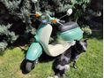 HONDA GIORNO 1996/5 - 6