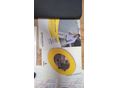 RENAULT MODUS 2005/11 - 9