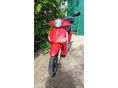 PIAGGIO LIBERTY 50 2009/5 - 4