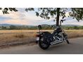 HARLEY-DAVIDSON SOFTAIL 2001/1 - 2