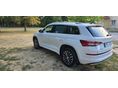 SKODA KODIAQ 2021/2 - 4
