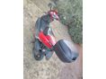 APRILIA SR 50 2000/1 - 2