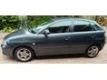 SEAT IBIZA 2008/12 - 5