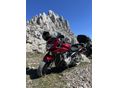 SUZUKI GSF 1250 S (BANDIT) 2008/6 - 2