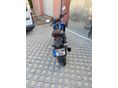 SUZUKI GSX-S 125 2023/5 - 4