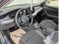 SKODA OCTAVIA 2026/7 - 6