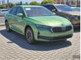 SKODA OCTAVIA 2026/7 - 3