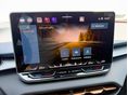 CUPRA TERRAMAR 2025/6 - 17