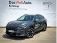 CUPRA TERRAMAR 2025/6 - 1